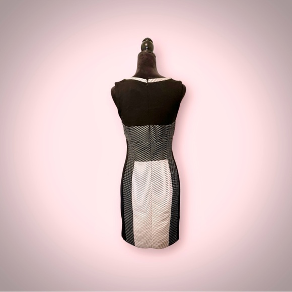 Yoana Baraschi Dress - Picture 2 of 7